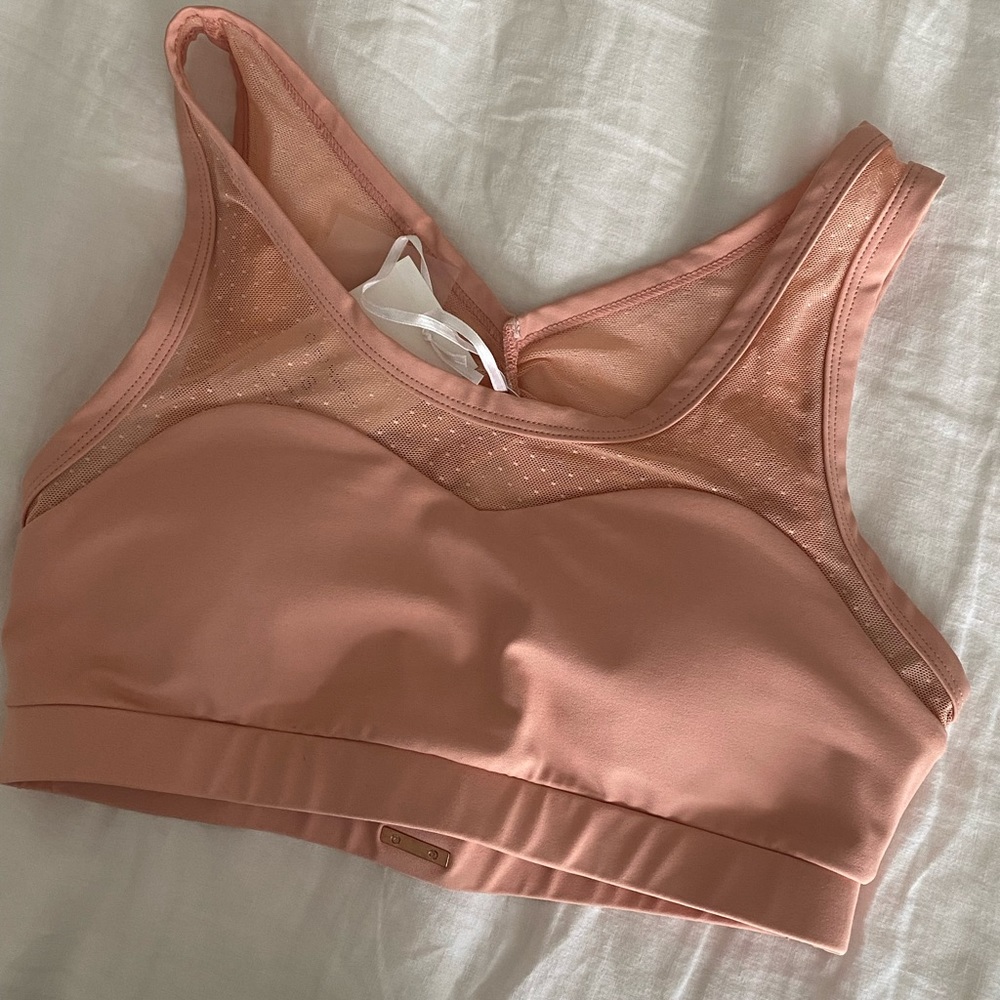 New Cleo Harper Sports Bra